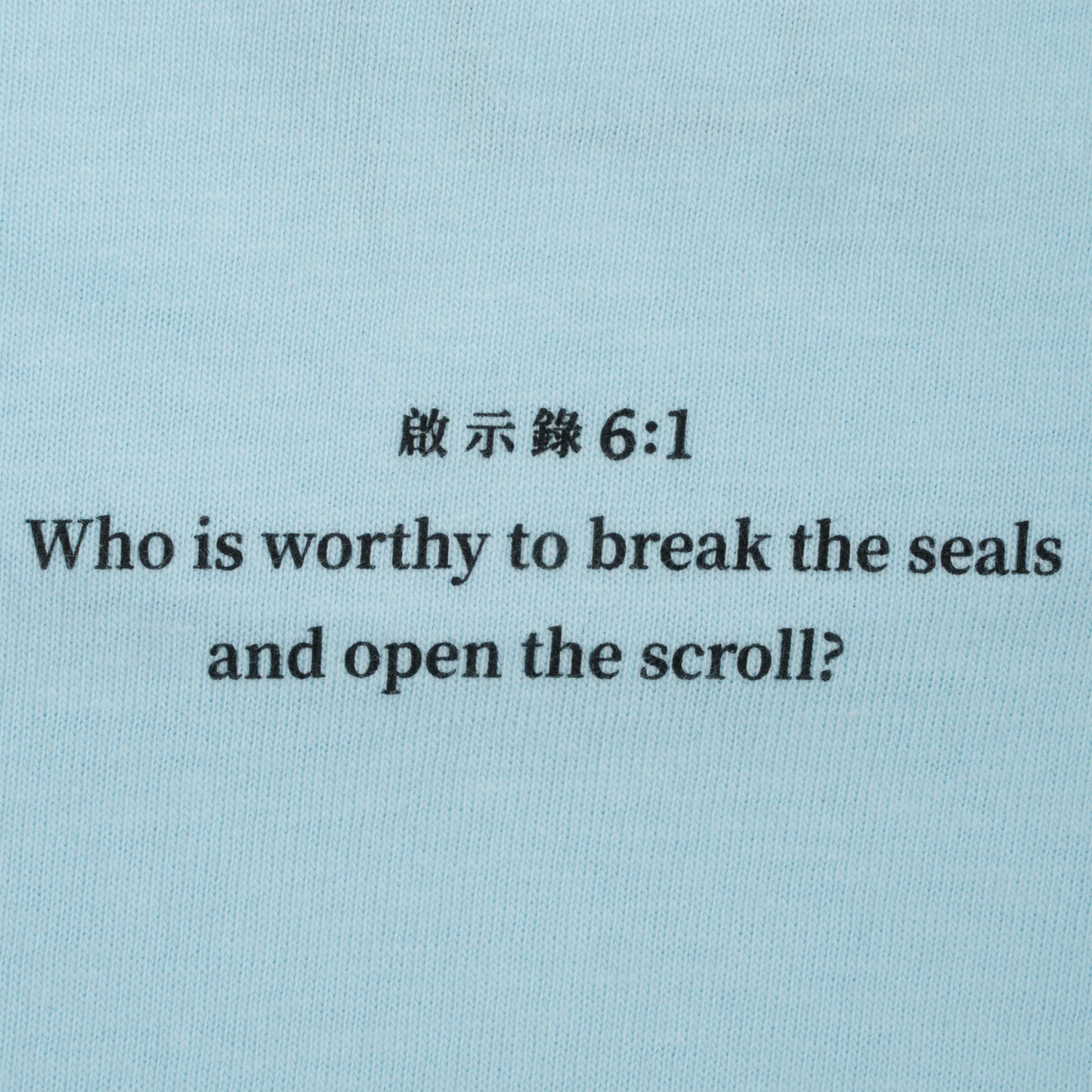 Sci-Fi Fantasy | Lamb Tee - Chambray