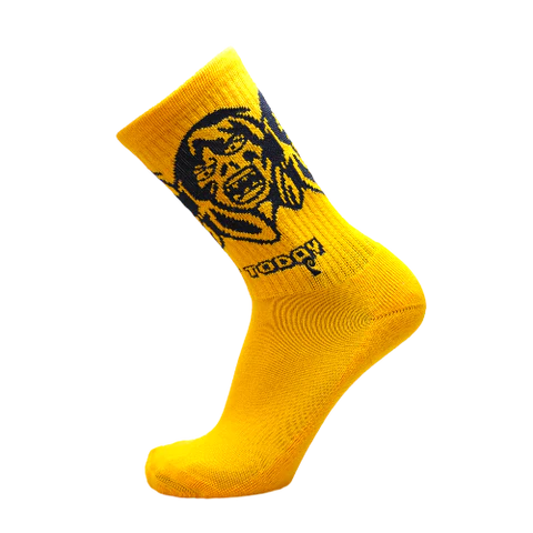 Psockadelic | Not Today Socks