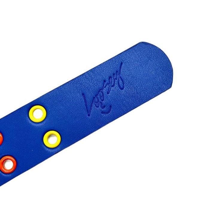 Loosey | Rainbow Grommet Belt - Blue