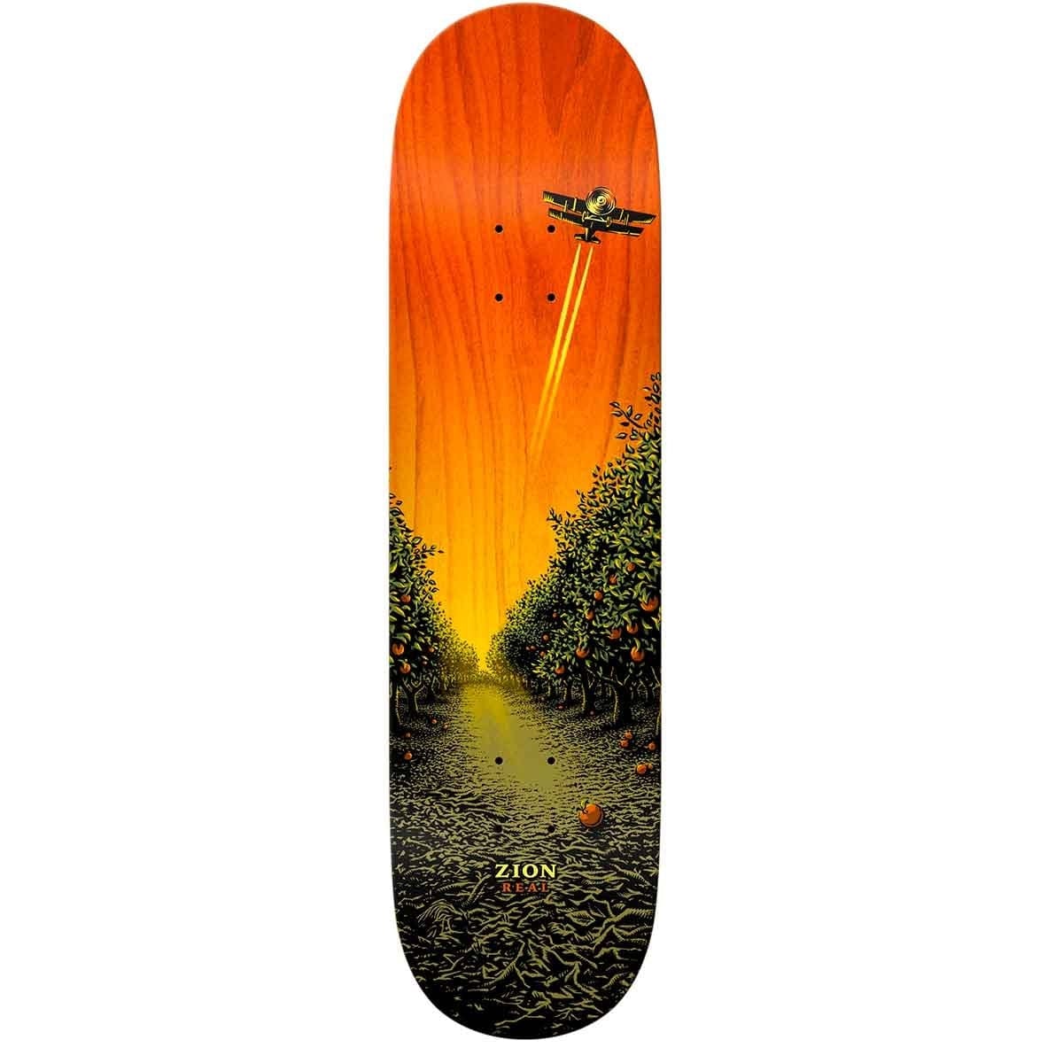 Real | 8.5" Zion - Grove