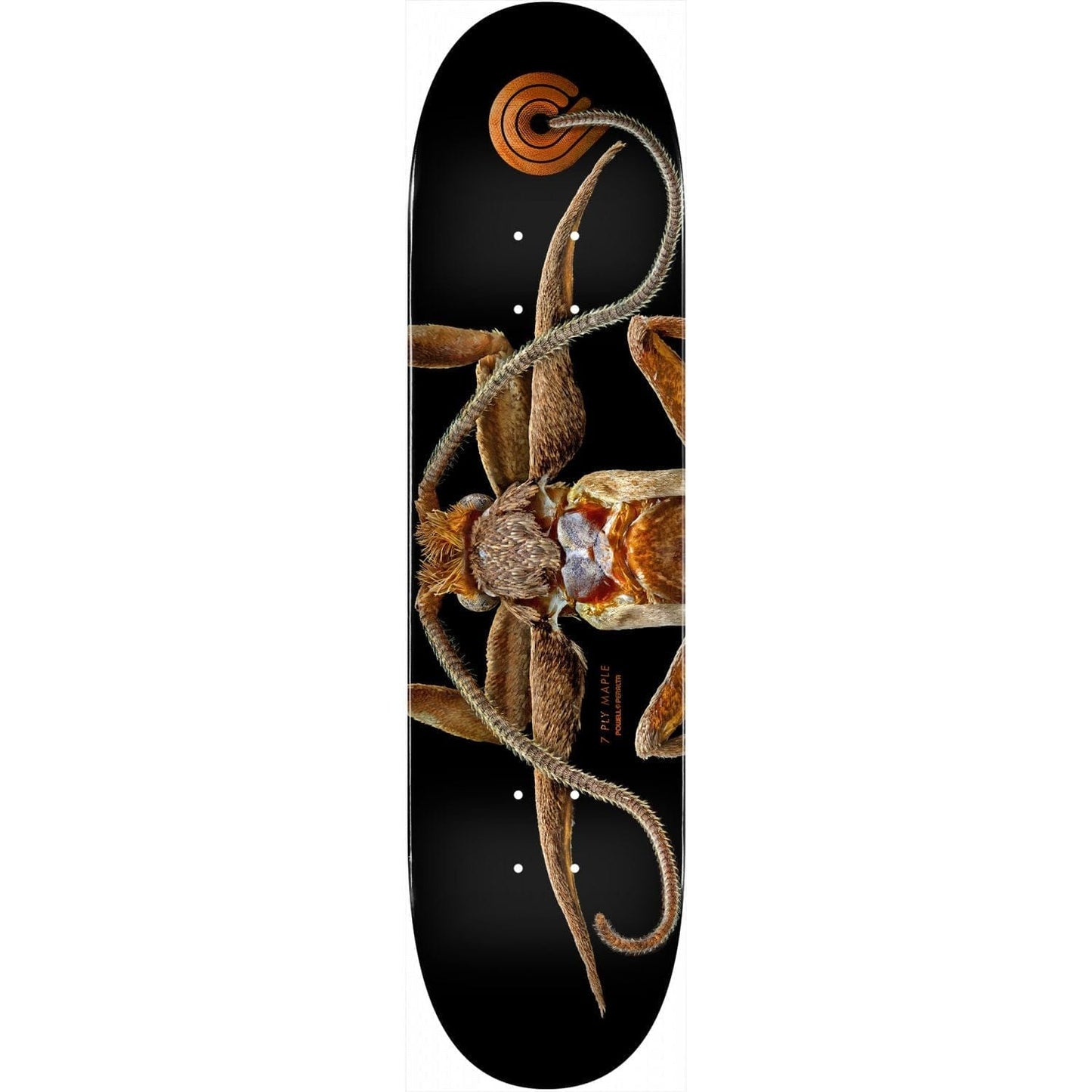 Powell | 8.25” Marion Moth – Flight Deck