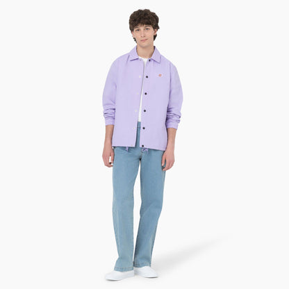 Dickies | Wingville Loose Fit Jeans - Light Blue Denim