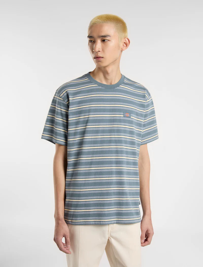 Dickies | Lewistown Stripe T-Shirt - Stormy Weather