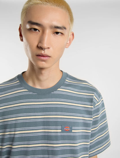 Dickies | Lewistown Stripe T-Shirt - Stormy Weather