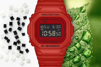 Casio | G-Shock DW5600RRB-4 Shock Resistant Watch