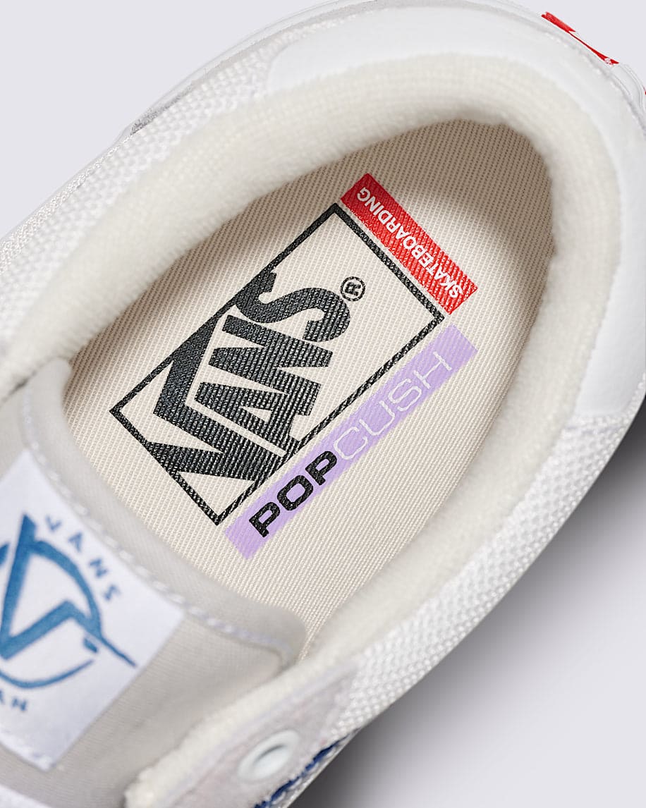 Vans | Rowan Skateboarding Shoes - Grey/Navy – THIS Skateshop
