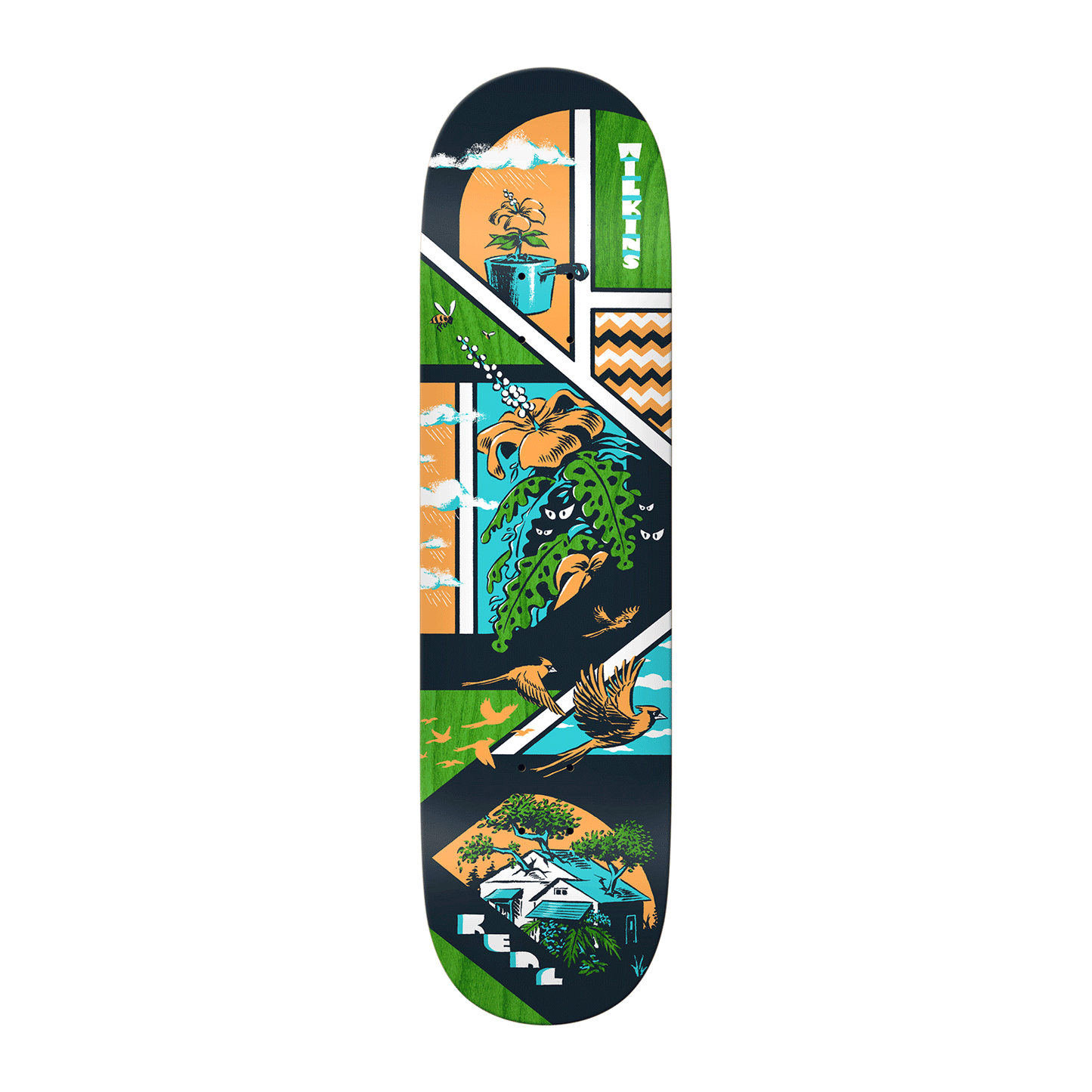 Real | 8.5" Wilkins Storyboard Deck