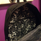 Bumbag | Black - Dragon Pattern Inside Backpack