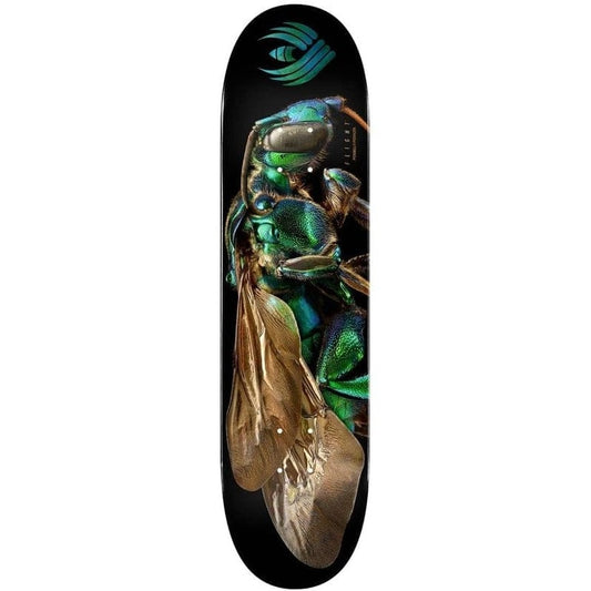 Powell | 8” Cuckoo Bee – Flight Deck