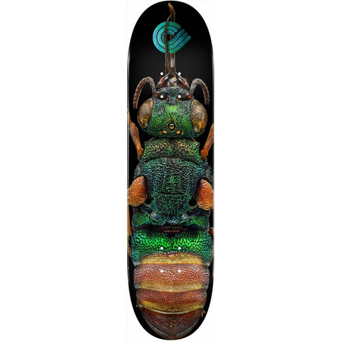 Powell | 8.5” Ruby Tailed Wasp – Flight Deck