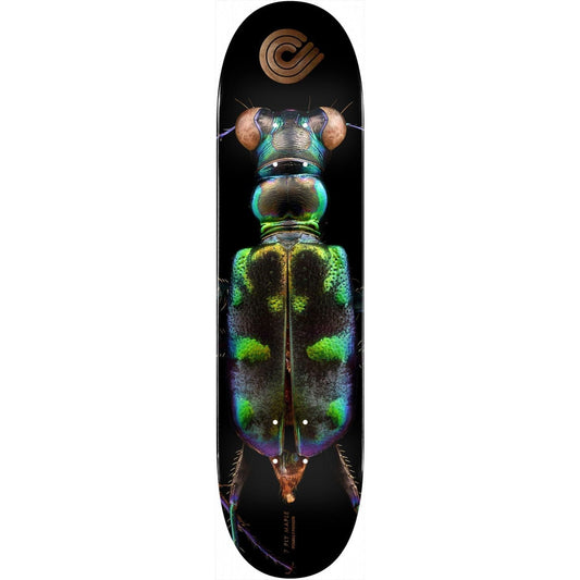 Powell | 8.25” Tiger Beetle – Flight Deck