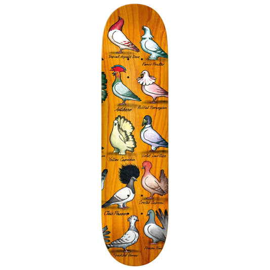 Anti Hero | 8.06" Chris Pfanner - Showpigeons